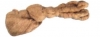 Canapa pettinata in matassa