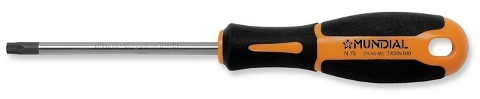 MUNDIAL 75 GIRAVITE TORX C/FORO TX 6X60