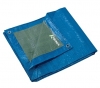 Telo protezione occhiellato VERDE RIBIMEX